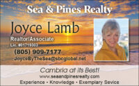 JOYCE LAMB - SEA PINES REALTY EP CDG 2022.jpg