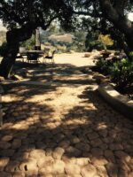 Concrete retaining walls in San Luis Obispo.jpg