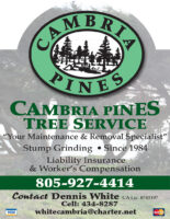 CAMBRIA PINES TREE FP CDG2022 (NEW LOGO).jpg