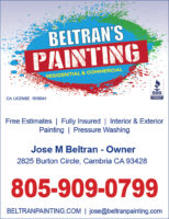 Beltrans Painting QP CDG 2022.jpg