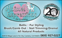 ANIMAL-EXPRESSIONS-CDG-EP-2027.png