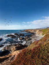 places to stay in Cambria-hotels-Inns-Motels-resorts