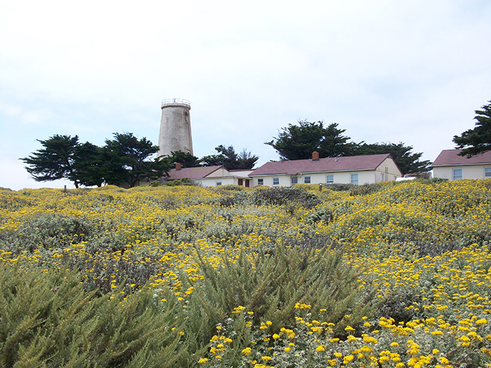 Piedras Blancas Lighthouse