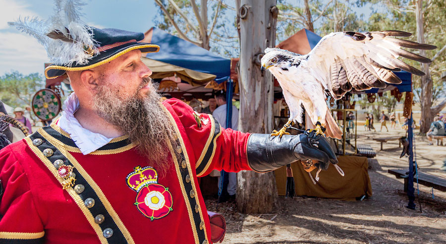 Central Coast Rennisance Faire