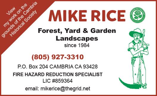 Mike Rice Forest, Yard & Garden Landscapes