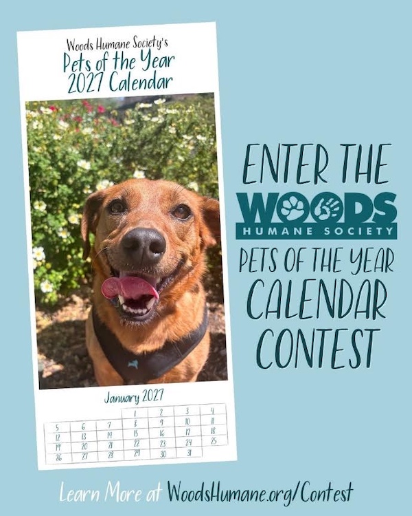 pet photo contest